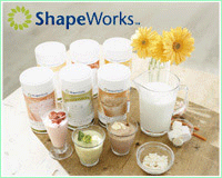 ShapeWorks